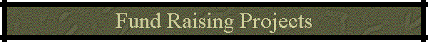 Fund Raising Projects